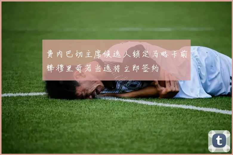 费内巴切主席候选人锁定马略卡前锋穆里奇若当选将立即签约