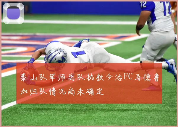 泰山队军师离队执教今治FC马德鲁加归队情况尚未确定